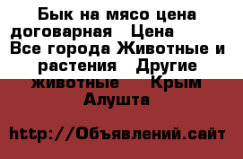 Бык на мясо цена договарная › Цена ­ 300 - Все города Животные и растения » Другие животные   . Крым,Алушта